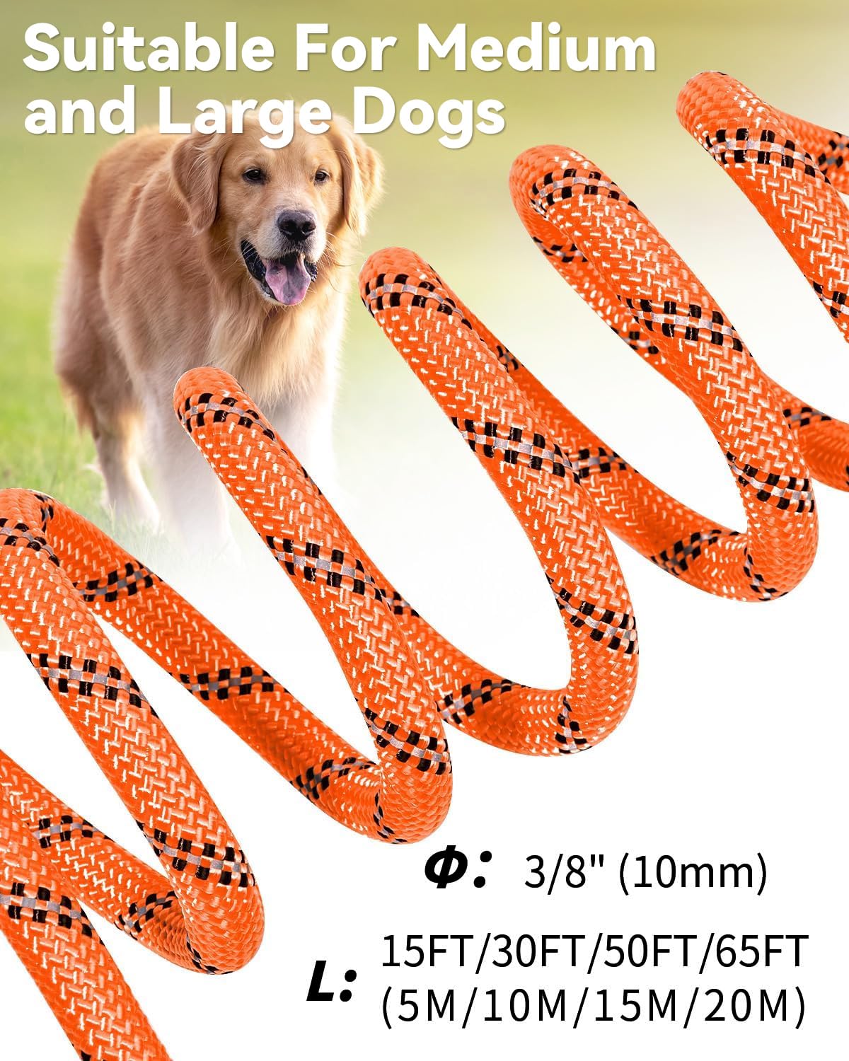 Joytale long leash fits large and medium dogs with secure rust-proof clips.