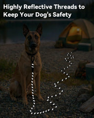 Joytale Long Leash has reflective threading for safer nighttime walks.