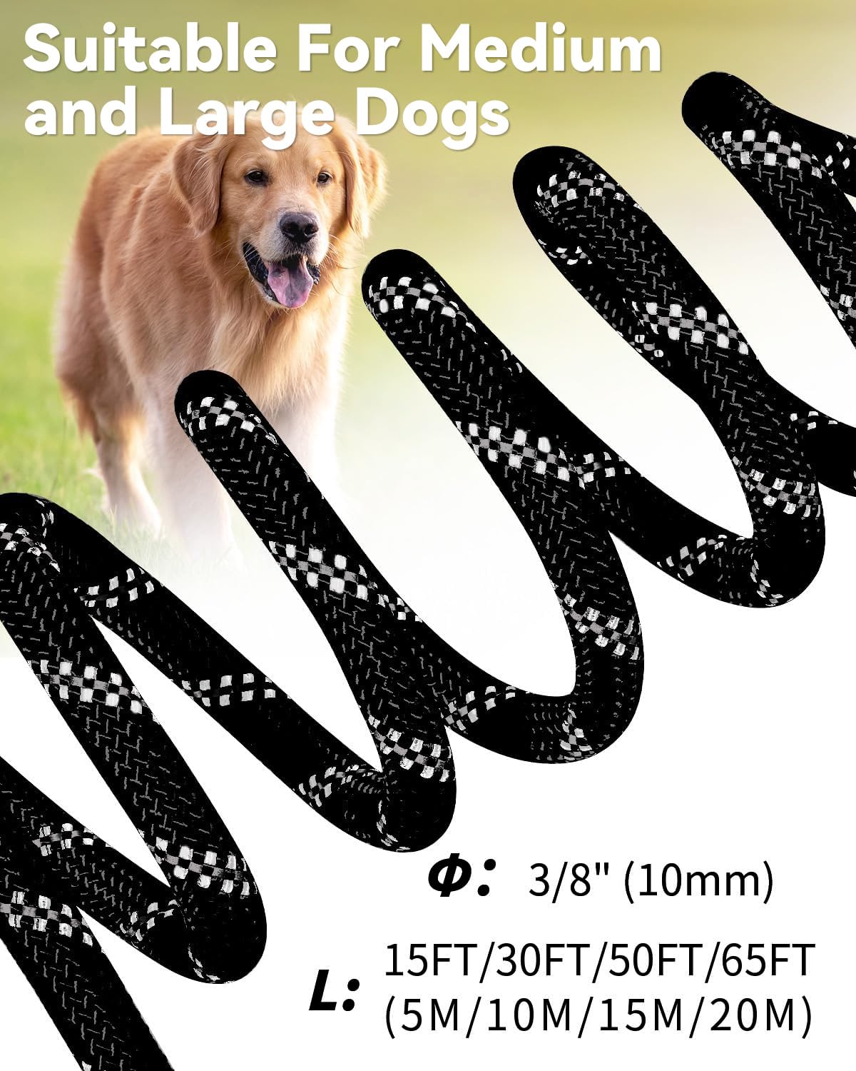 Joytale Long Leash uses rust-proof clips and safety locks for reliability.