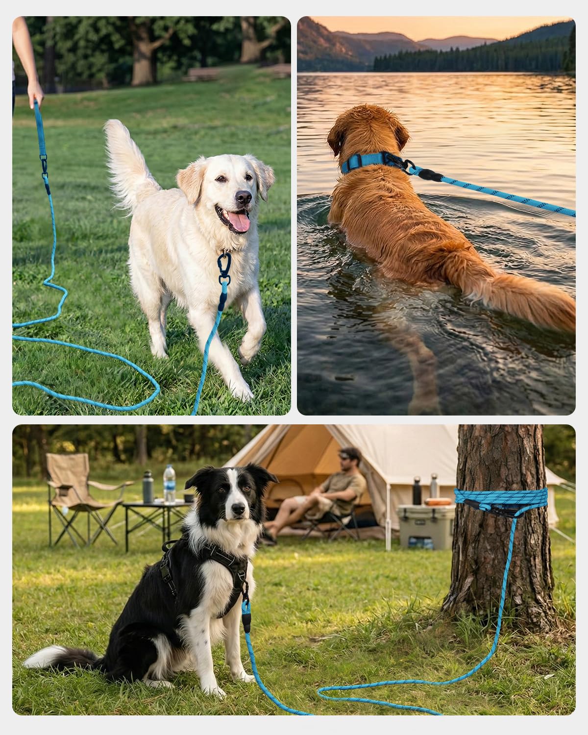 Joytale long leash suitable for yard, beach, and camping adventures.