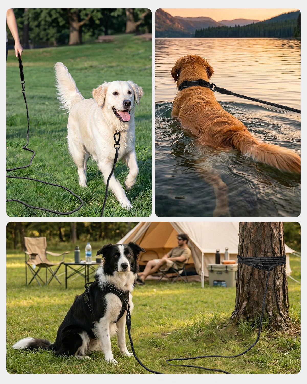 Joytale Long Leash is ideal for yard or beach play with control.