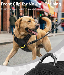 Joytale No Pull Harness back clip supports relaxed casual walks and jogging.