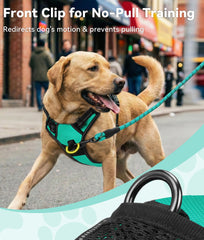 Joytale No Pull Harness teal back clip for casual walking and jogging