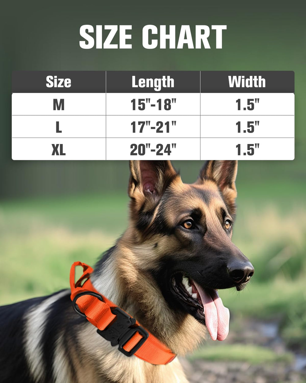 Joytale reinforced D-ring provides reliable leash attachment during intense activity.