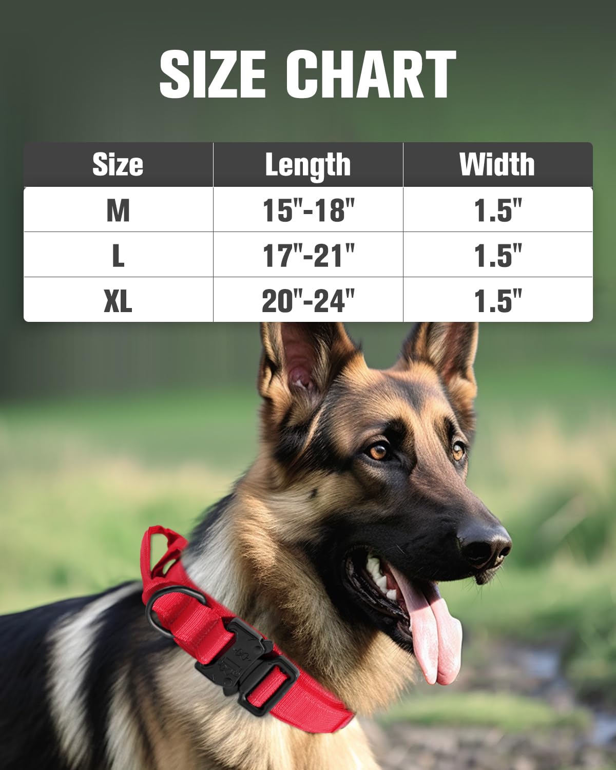 Joytale tactical dog collar red XL worn for rugged daily adventures.