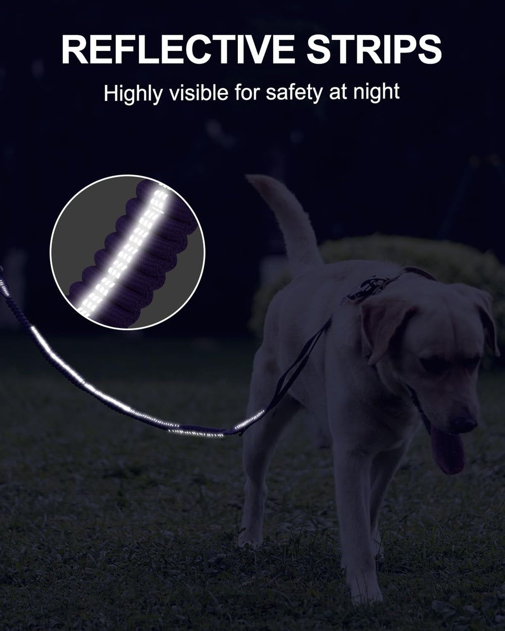 Joytale leash built to withstand up to 200 pounds of pulling force.