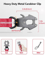 Joytale bungee absorbs shocks, reducing strain on arms during strong pulls.