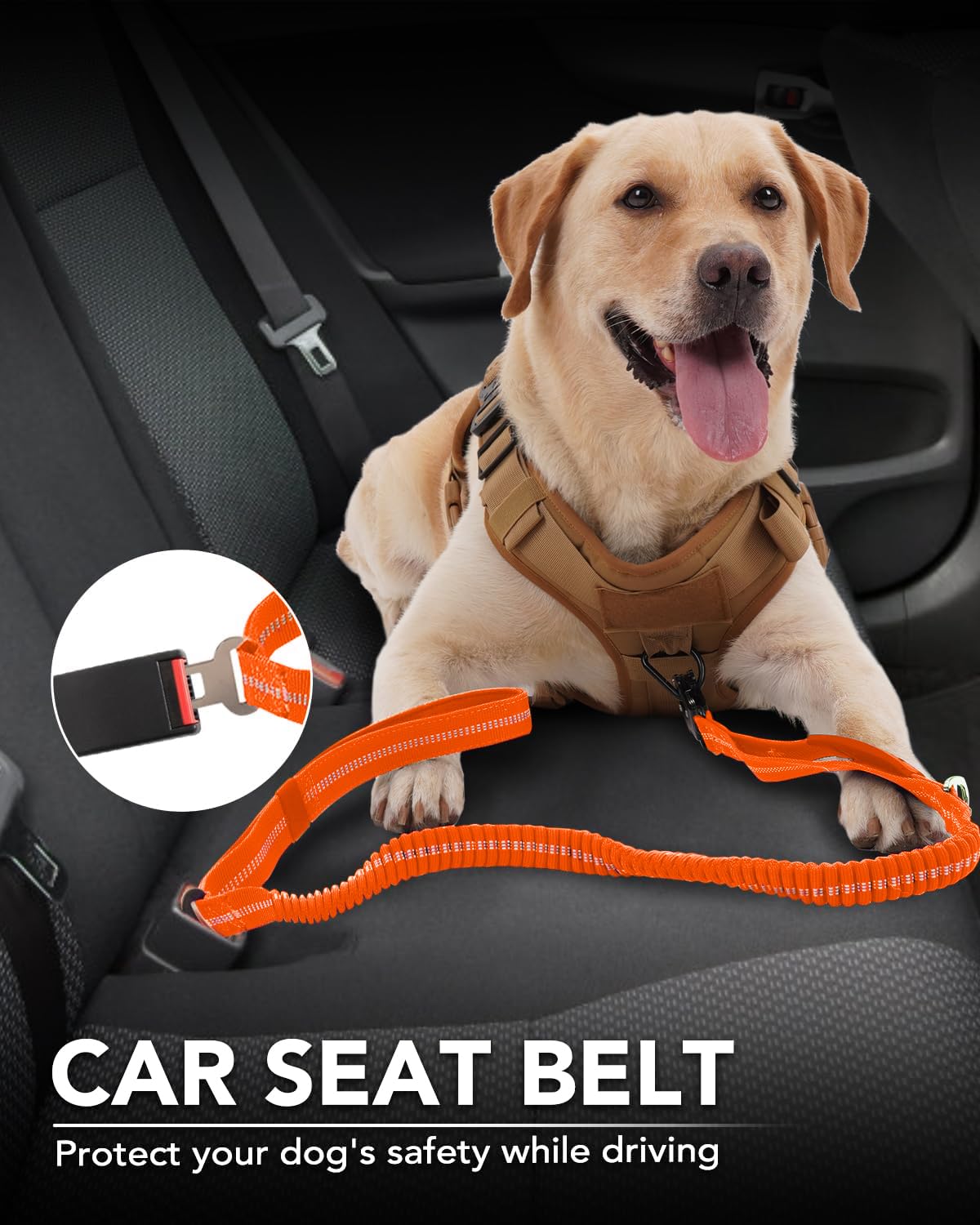 Joytale Tactical Dog Leash car seatbelt clip for secure car travel.
