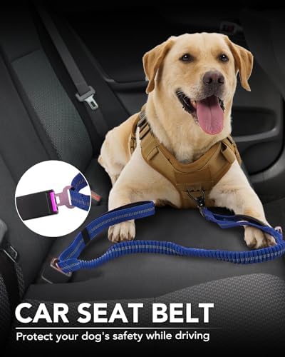 Joytale Tactical Dog Leash built-in car seatbelt tab for secure car rides