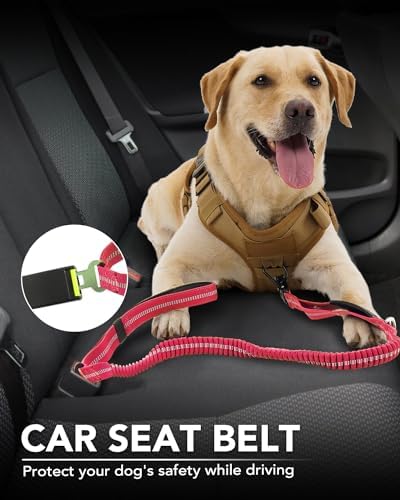 Joytale car seatbelt tab secures your dog in the back seat.