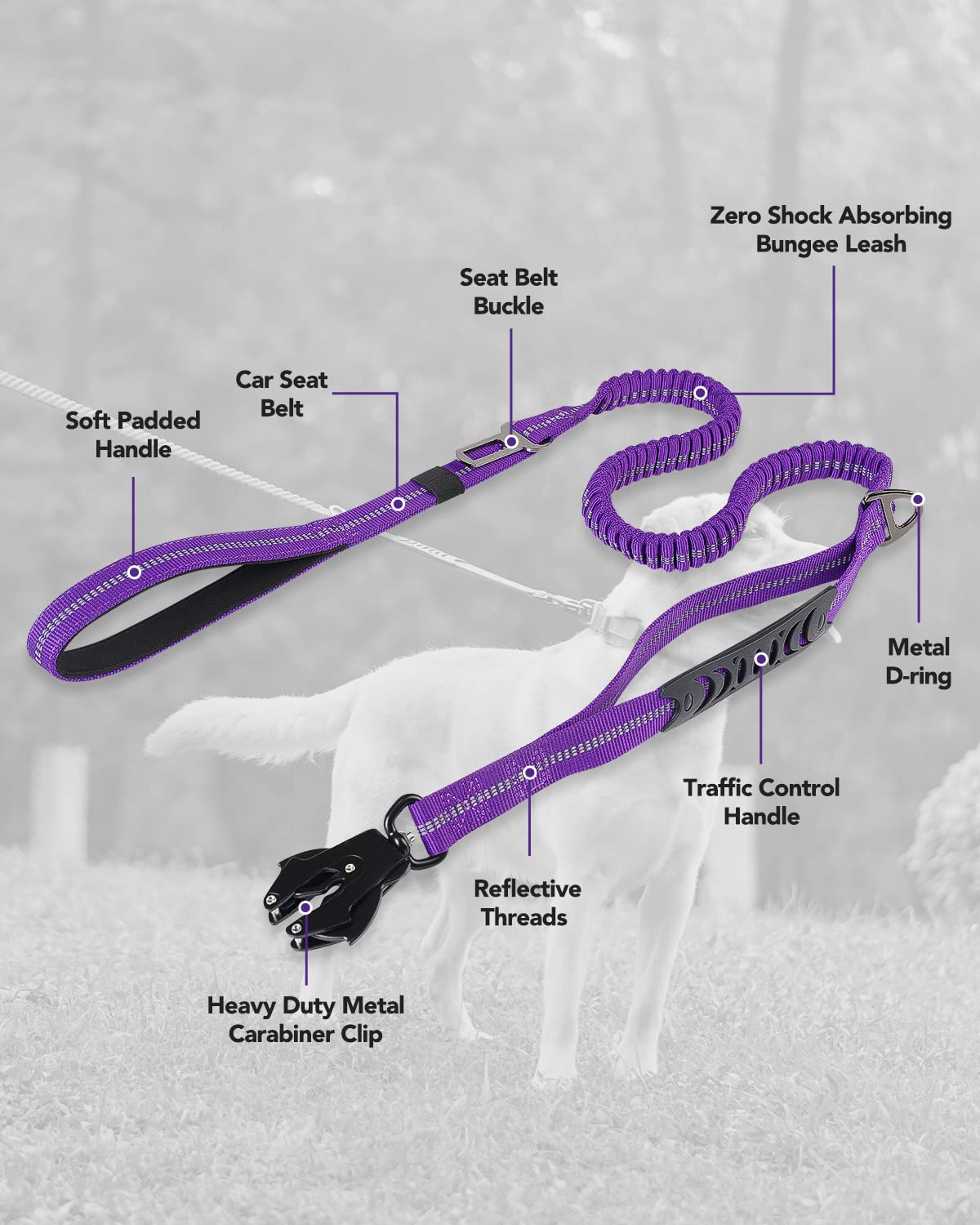 Joytale leash with a D-ring for bags or keys during walks.