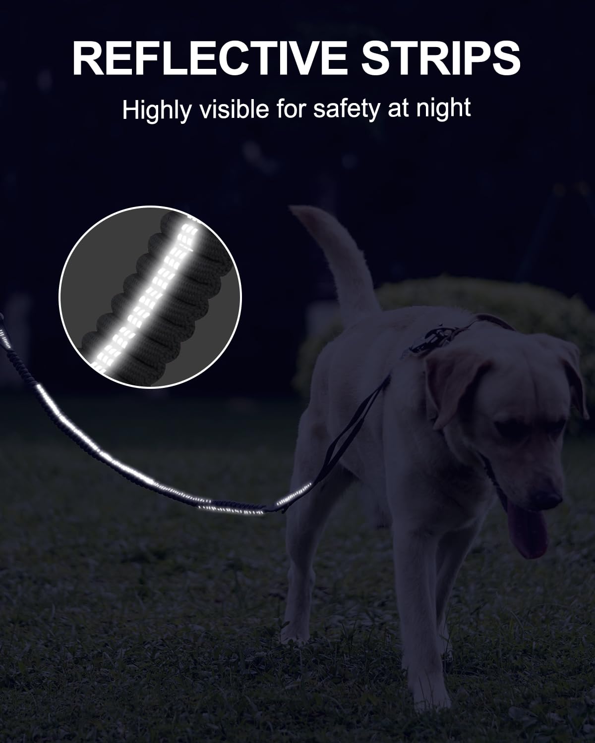 Joytale leash includes a D-ring for accessories during adventures.