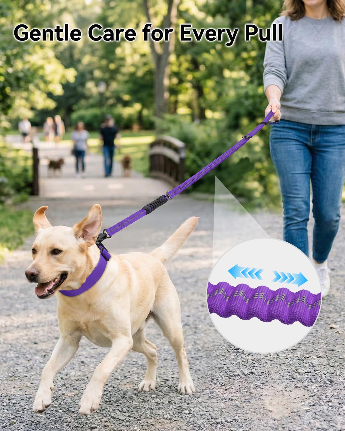 Joytale leash featuring dual padded end handle and traffic handle for control.