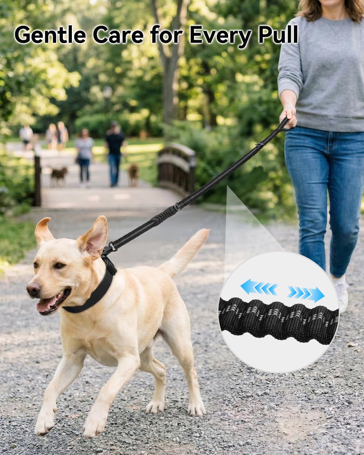 Joytale Tactical Dog Leash dual handles for comfortable, controlled daily walking.