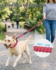 Joytale dual handles offer comfortable control for everyday and crowded-area walks.
