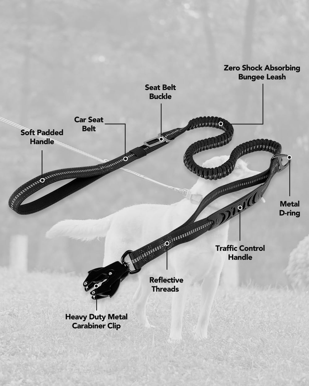 Joytale Tactical Dog Leash in use to keep dog by your side and prevent tangles.