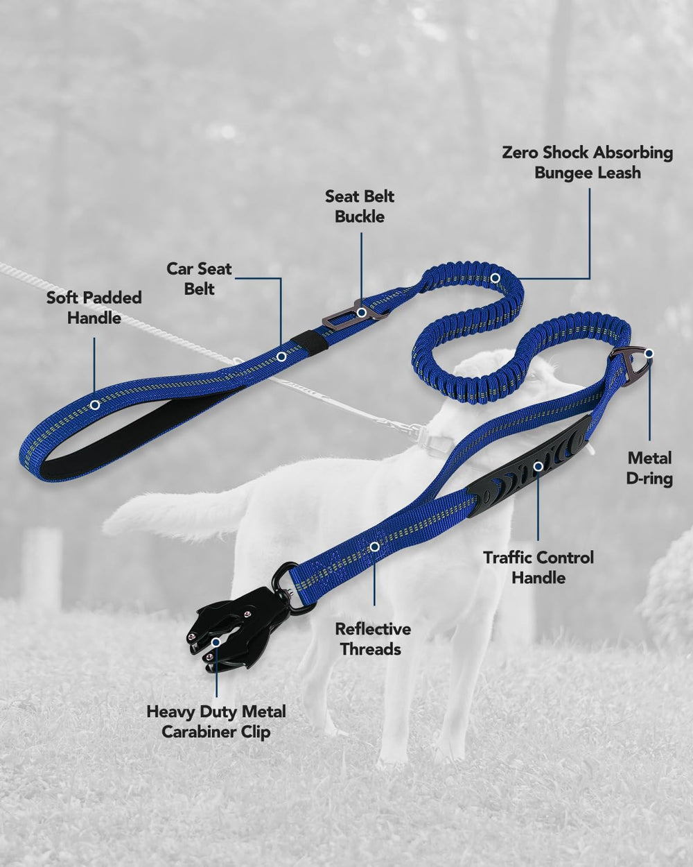 Joytale Tactical Dog Leash in use with a dog on a city walk