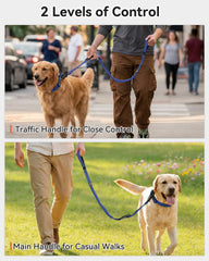 Joytale Tactical Dog Leash reflective stitching visible at night
