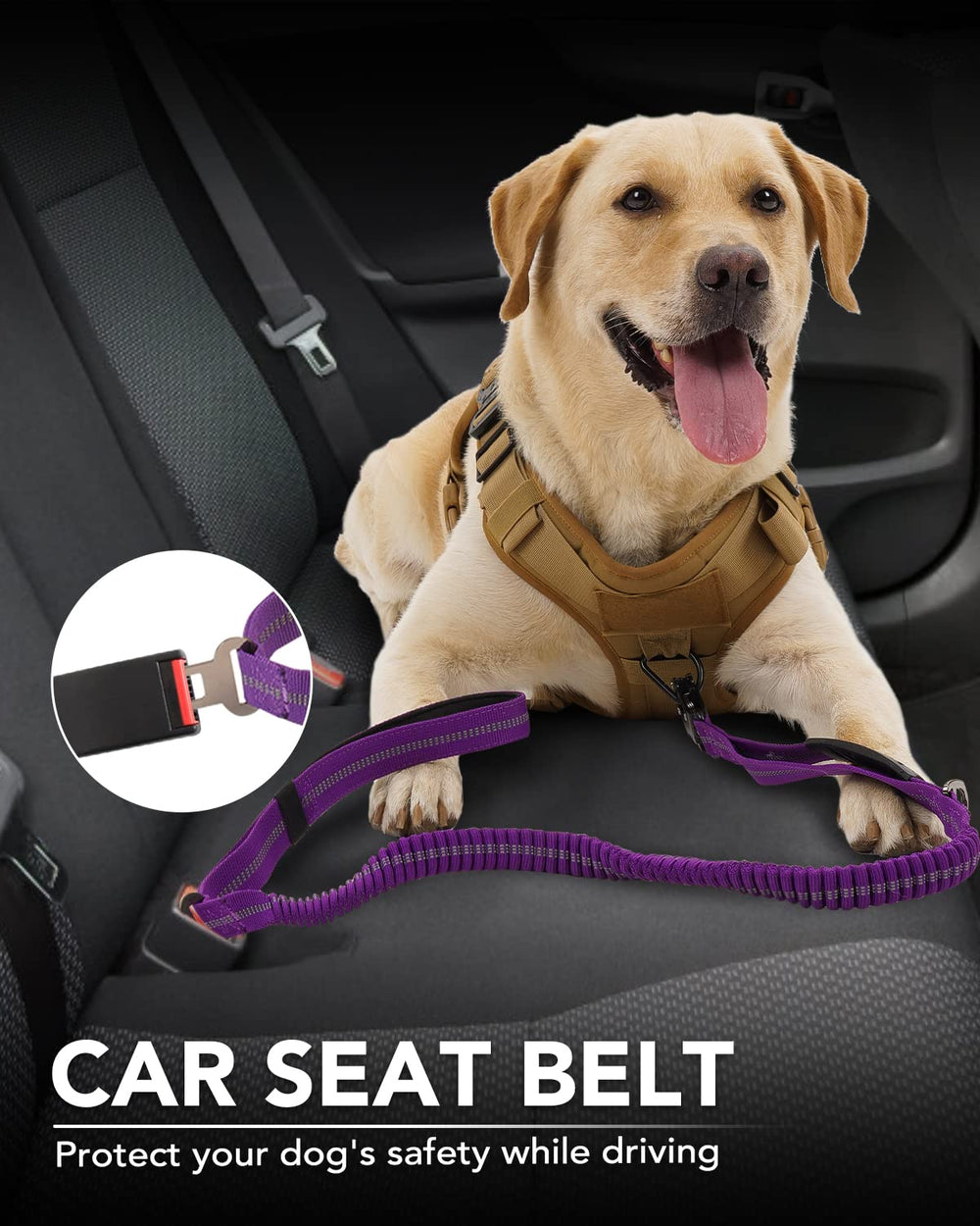 Joytale leash ready to use with universal seat belt tab for car safety.