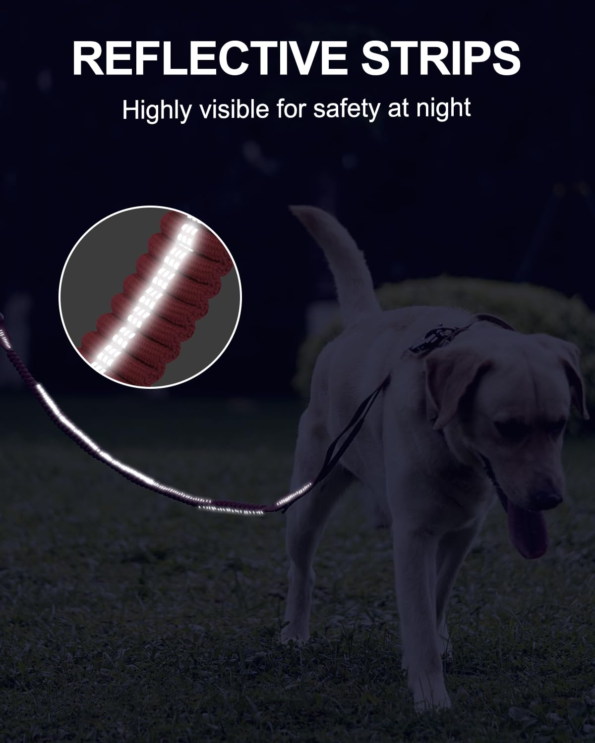 Joytale 360-degree swivel prevents tangles when your dog circles.
