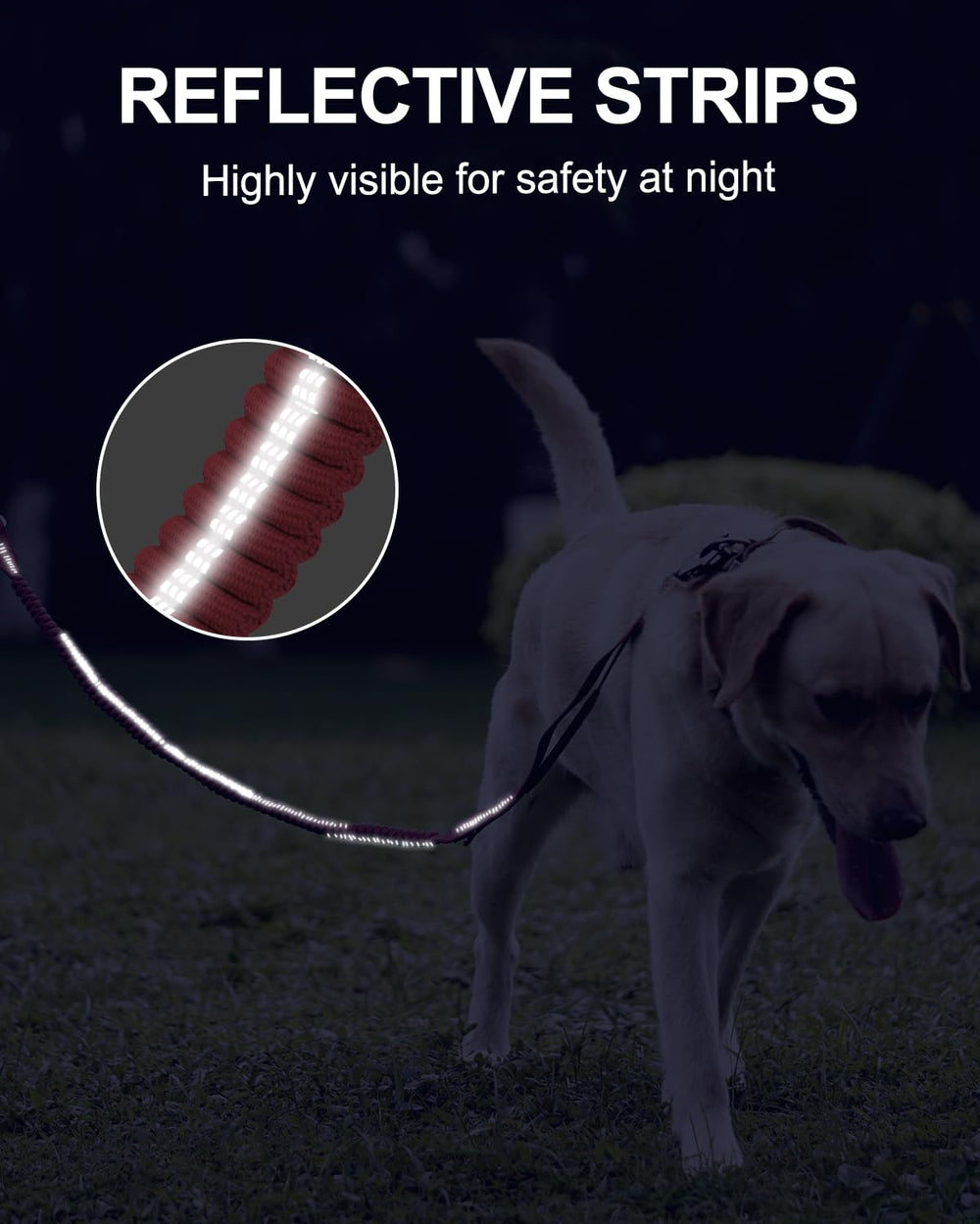 Joytale 360-degree swivel prevents tangles when your dog circles.