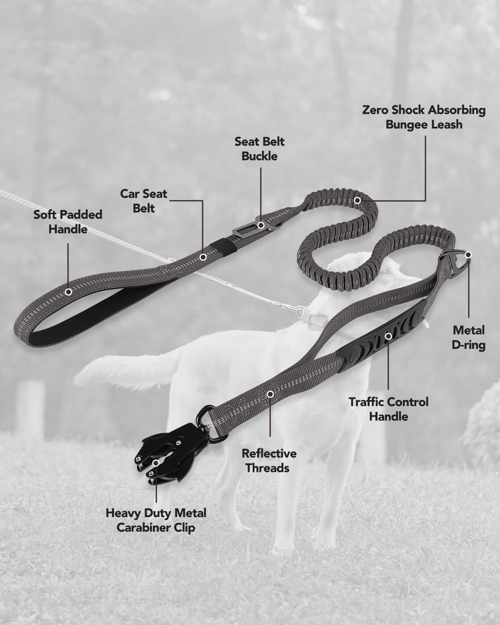 Joytale leash designed for urban walking and crowd navigation with secure grip.