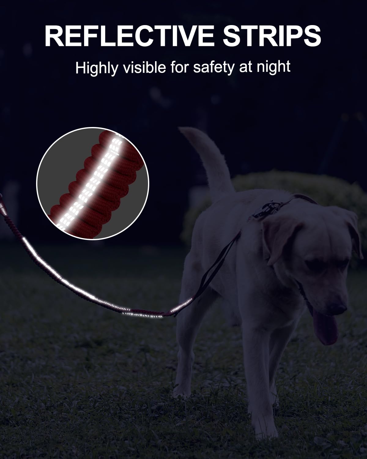 Joytale Tactical Leash includes D-ring for bags or keys.