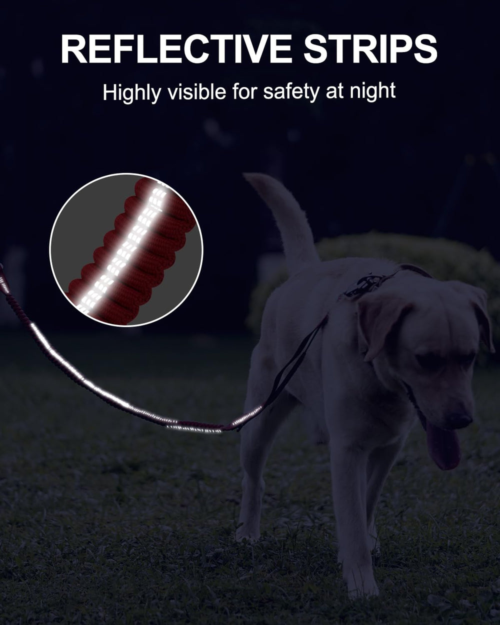 Joytale Tactical Leash includes D-ring for bags or keys.