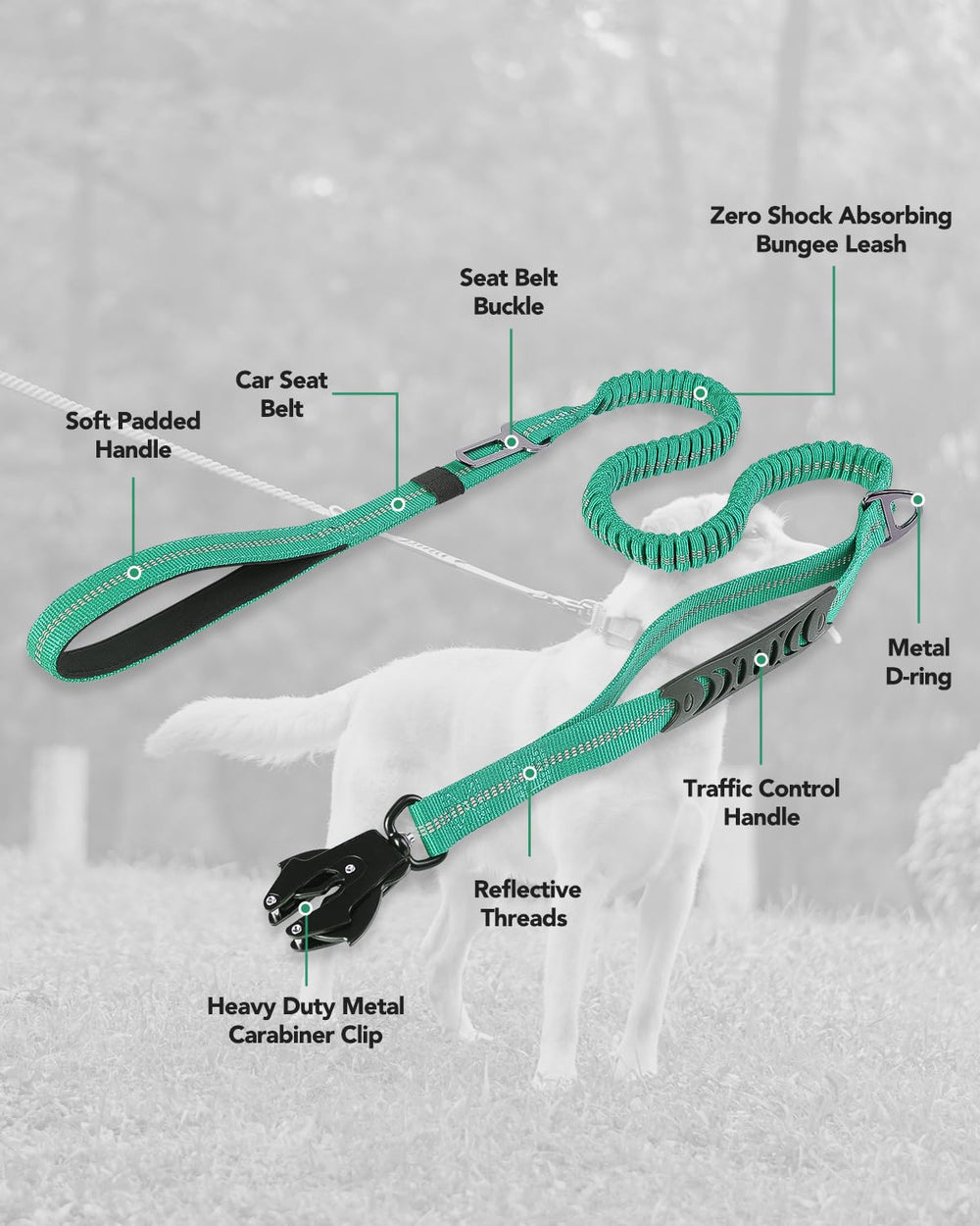 Joytale tactical leash includes D-ring for bags or keys