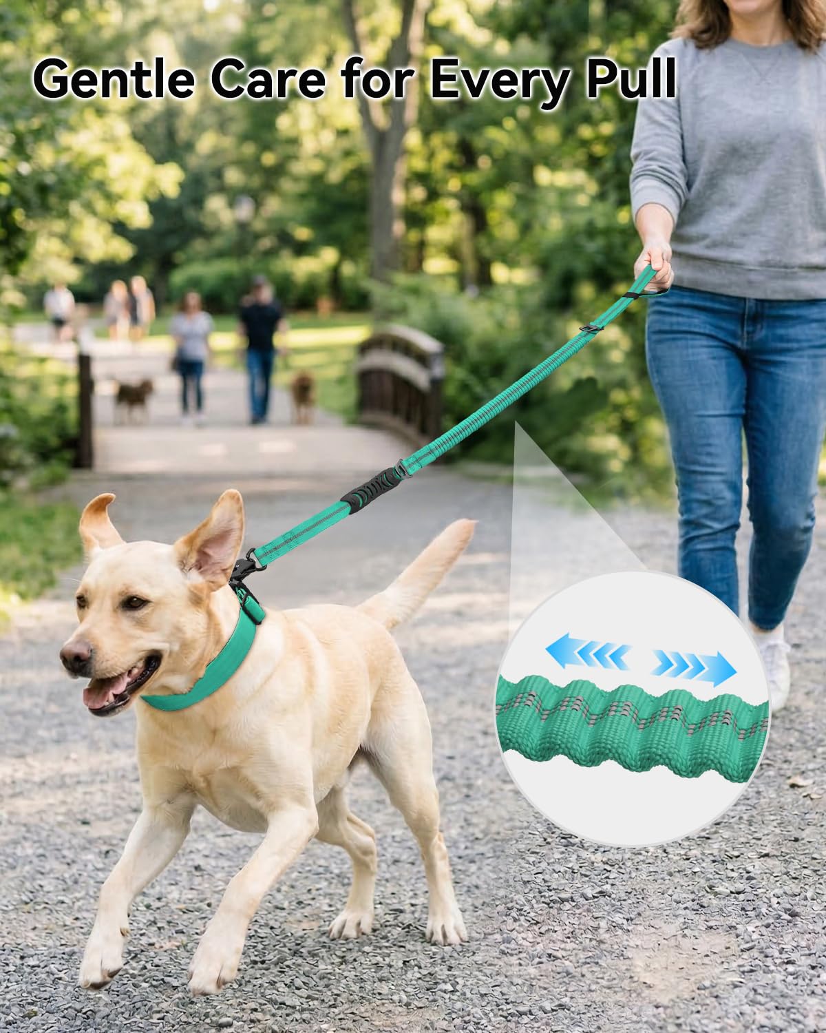 Joytale tactical leash dual padded handles provide versatile control