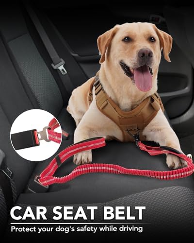 Joytale Tactical Leash seat belt tab enables car travel security.