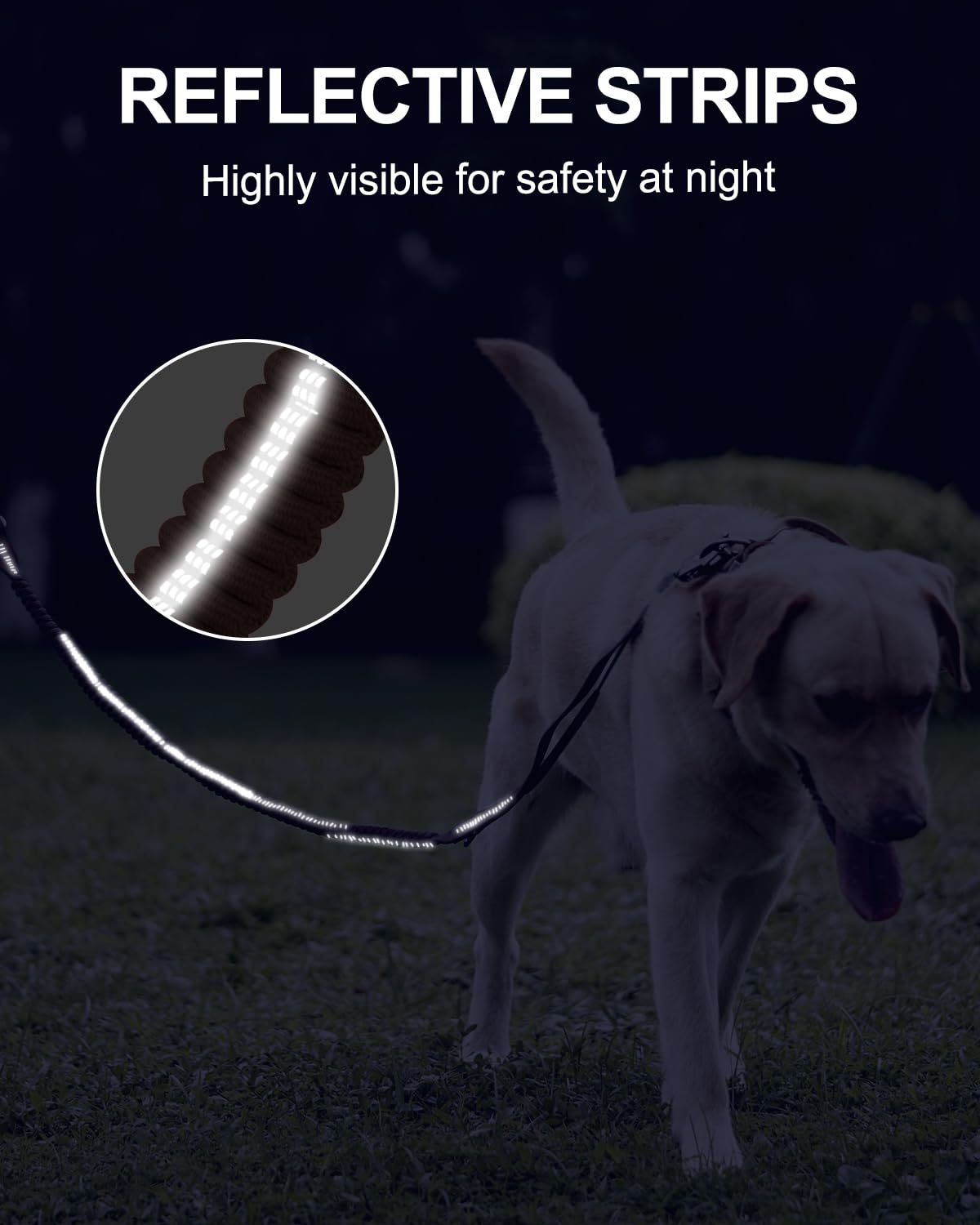 Joytale Tactical Leash strong nylon: durable construction for heavy dogs