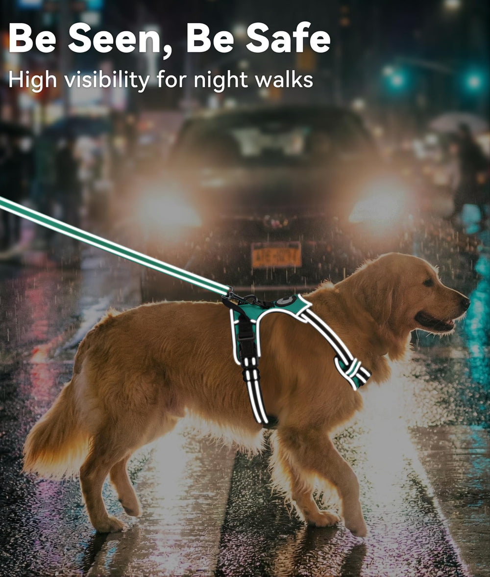 Joytale Reinforced traffic handle offers instant control in crowds or car loading