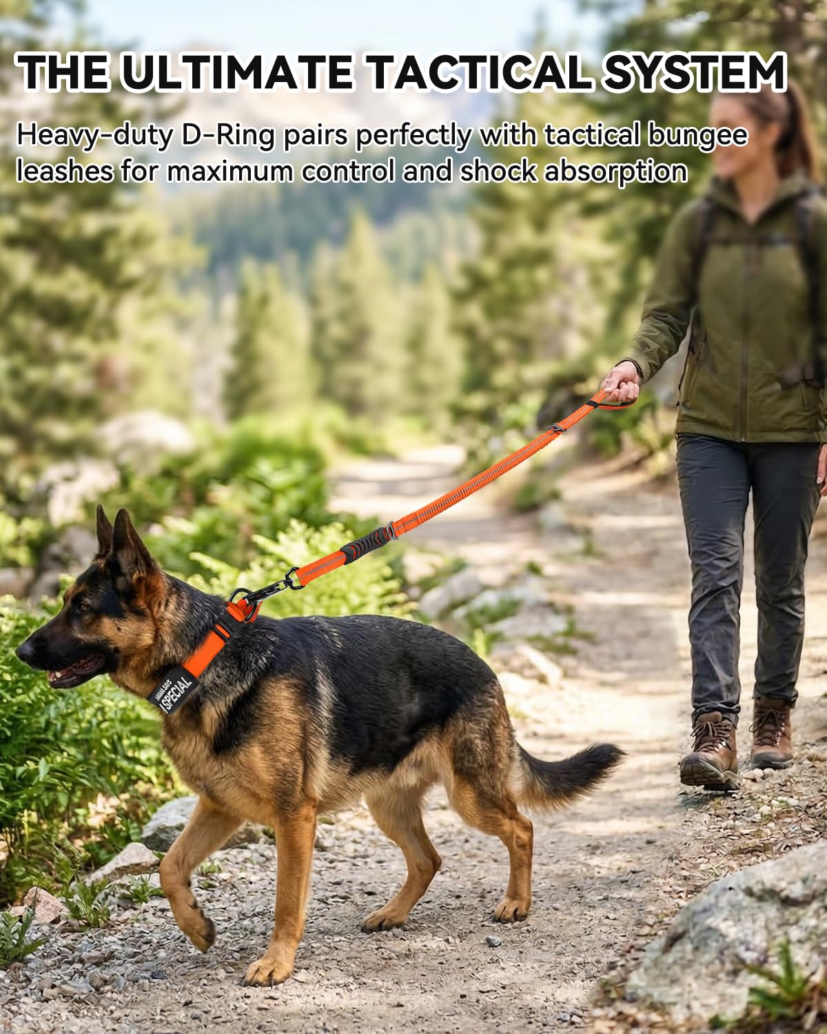 Joytale Velcro sizing adjustment for easy collar fitting and sizing.