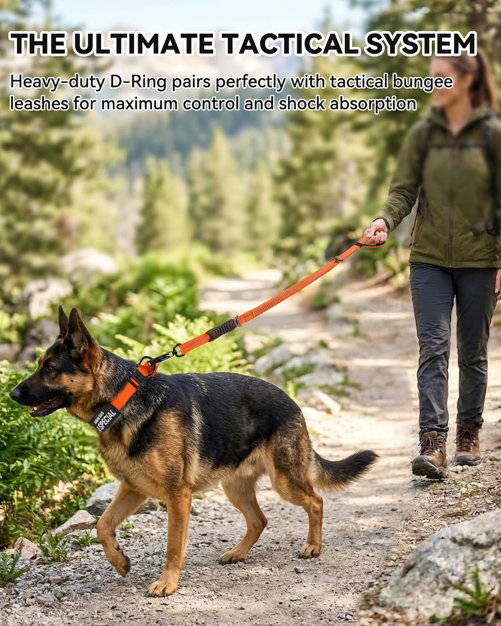 Joytale Velcro sizing adjustment for easy collar fitting and sizing.