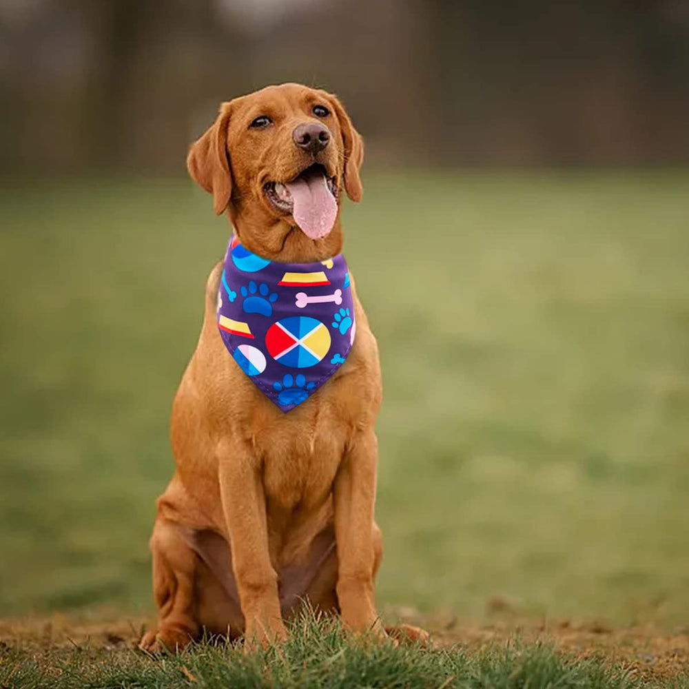 JpGdn large breed bandana set great for grooming and photo shoots