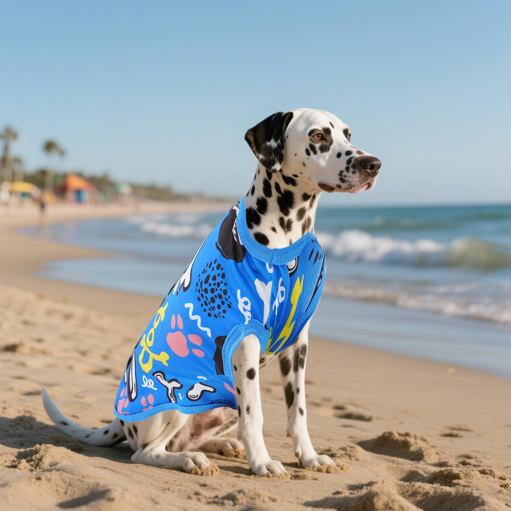 JpGdn eight-pack tee set ideal for photos and vacations.