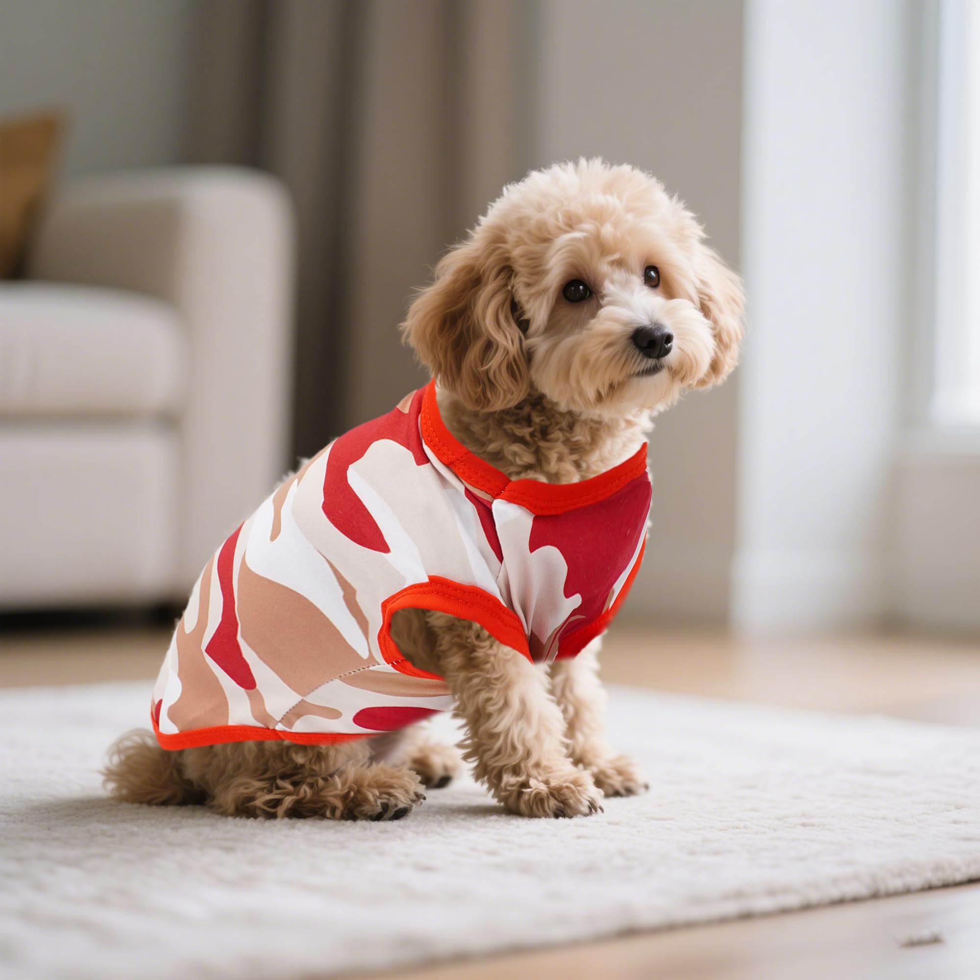 JpGdn dog shirts worn by pet for lifestyle portrait