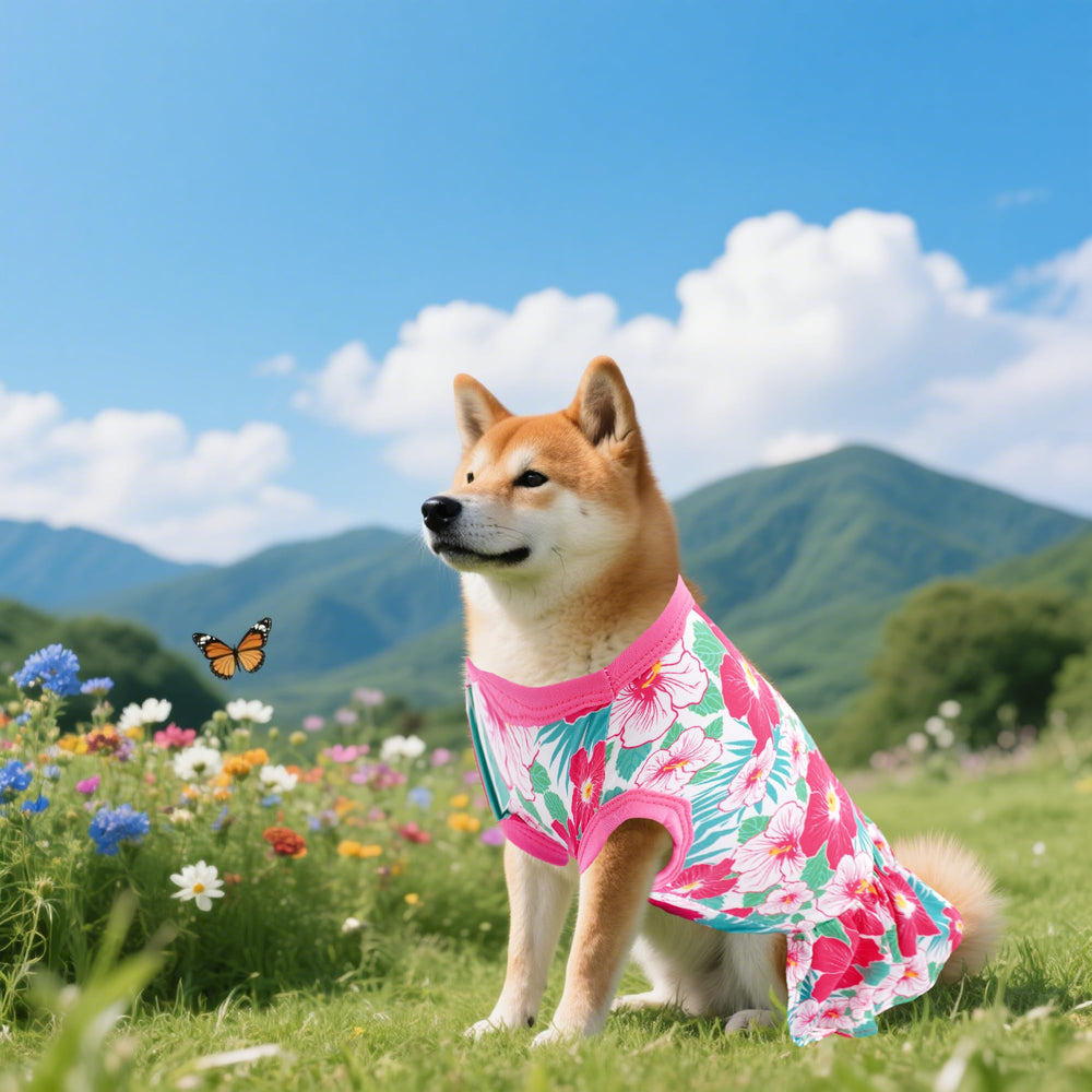 JpGdn outdoor walk with dog dress, suitable for daily activities.