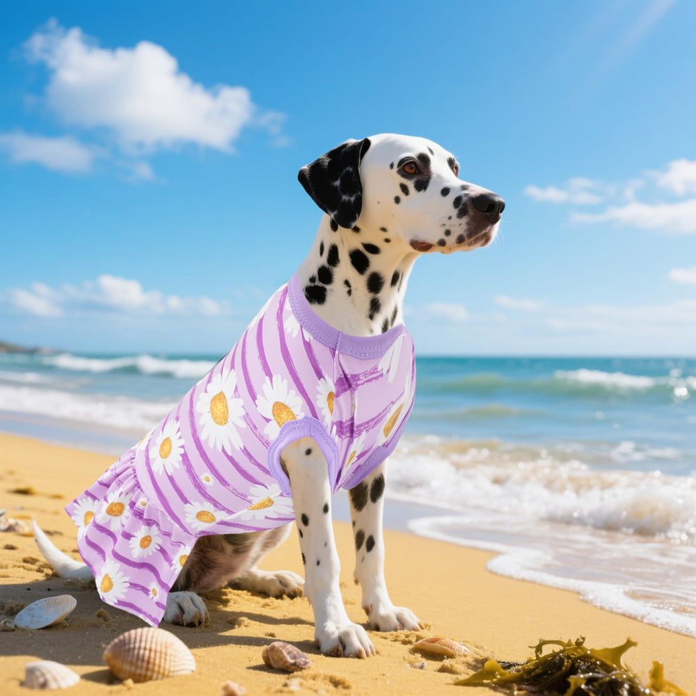 JpGdn washable stretchable dress maintaining shape after washes