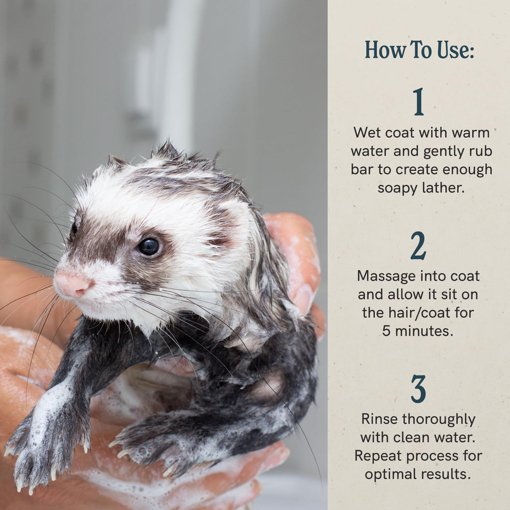 JR Liggett's shampoo used on rabbits and ferrets during bath time for irritation relief.
