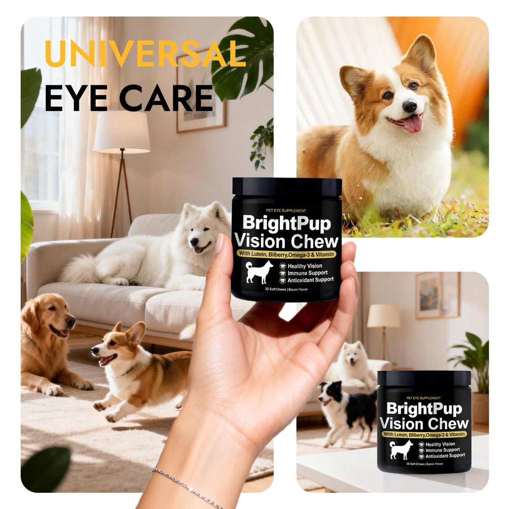 JRR Bright Pup Vision Chews bottle for easy dosing and on-hand eye care.