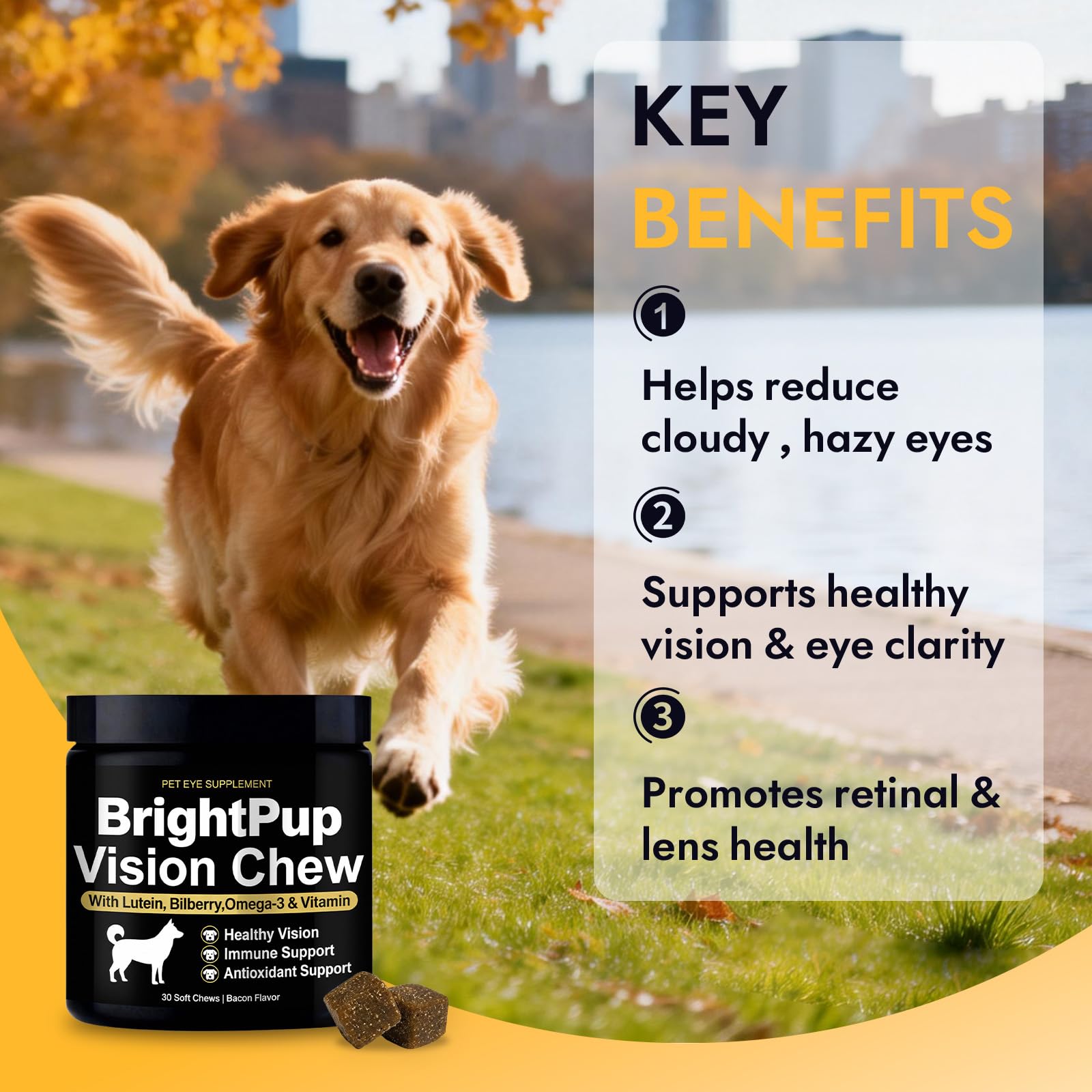 JRR Bright Pup Vision Chews dog enjoying treat supports eye health.