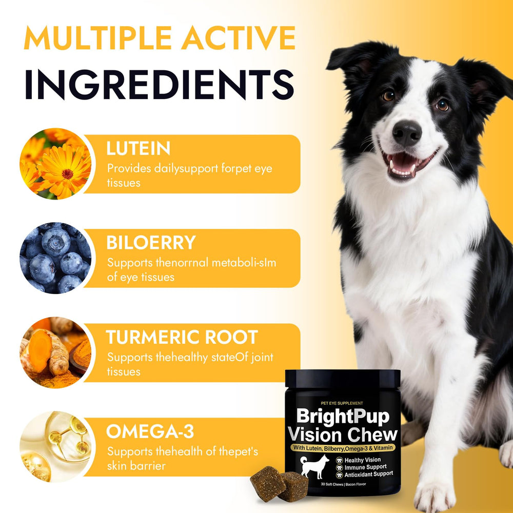JRR Bright Pup Vision Chews dosage guide closeup for simple daily use.
