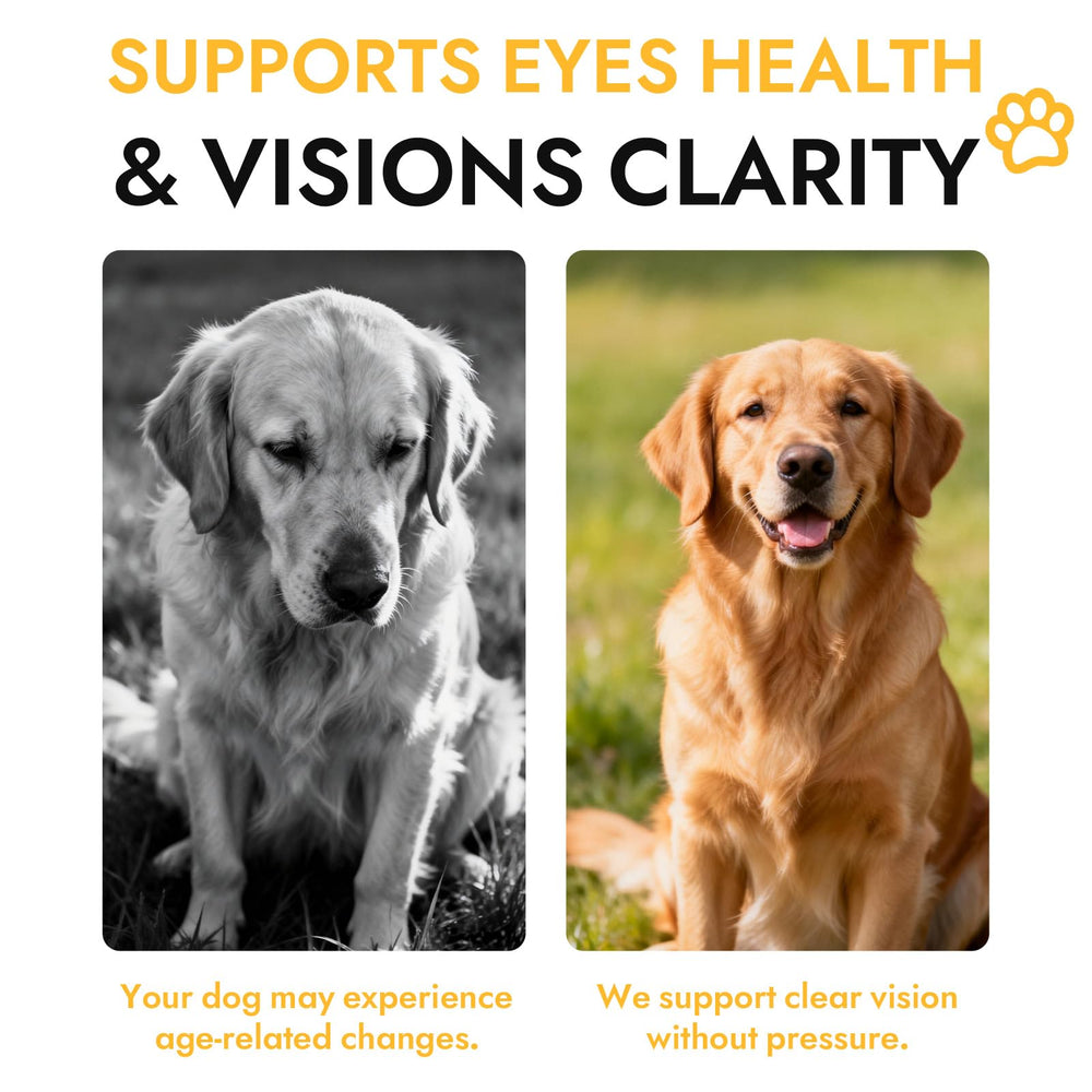 JRR Bright Pup Vision Chews label closeup highlighting bacon flavor that dogs enjoy.