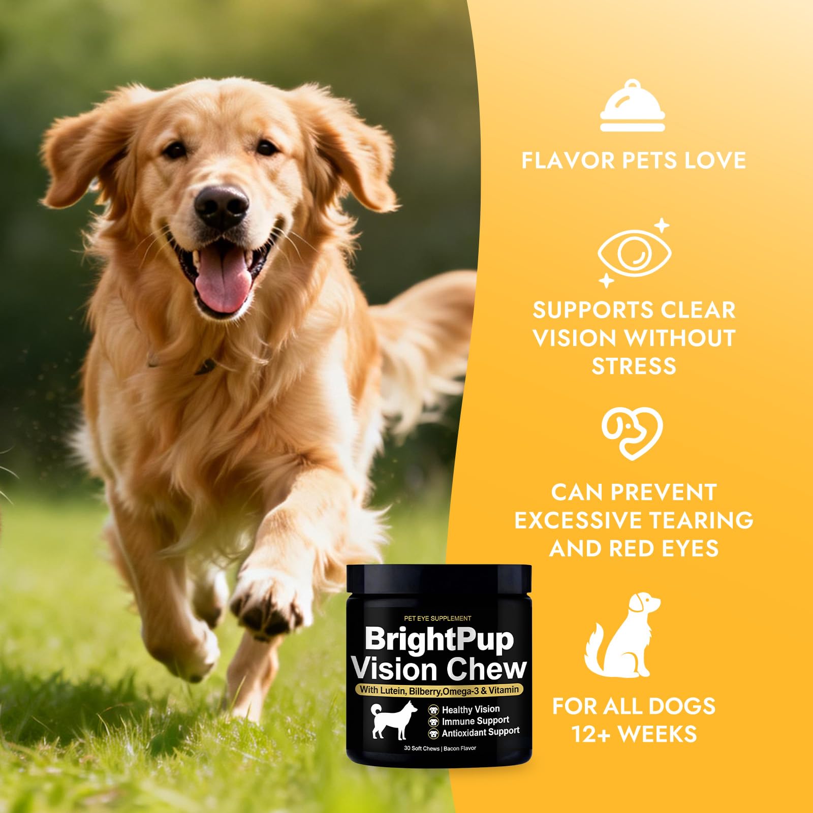JRR Bright Pup Vision Chews soft chews texture dogs love, supporting daily eye wellness.