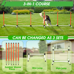 JRUICFDY dual-mode weave poles for indoor or outdoor agility training.