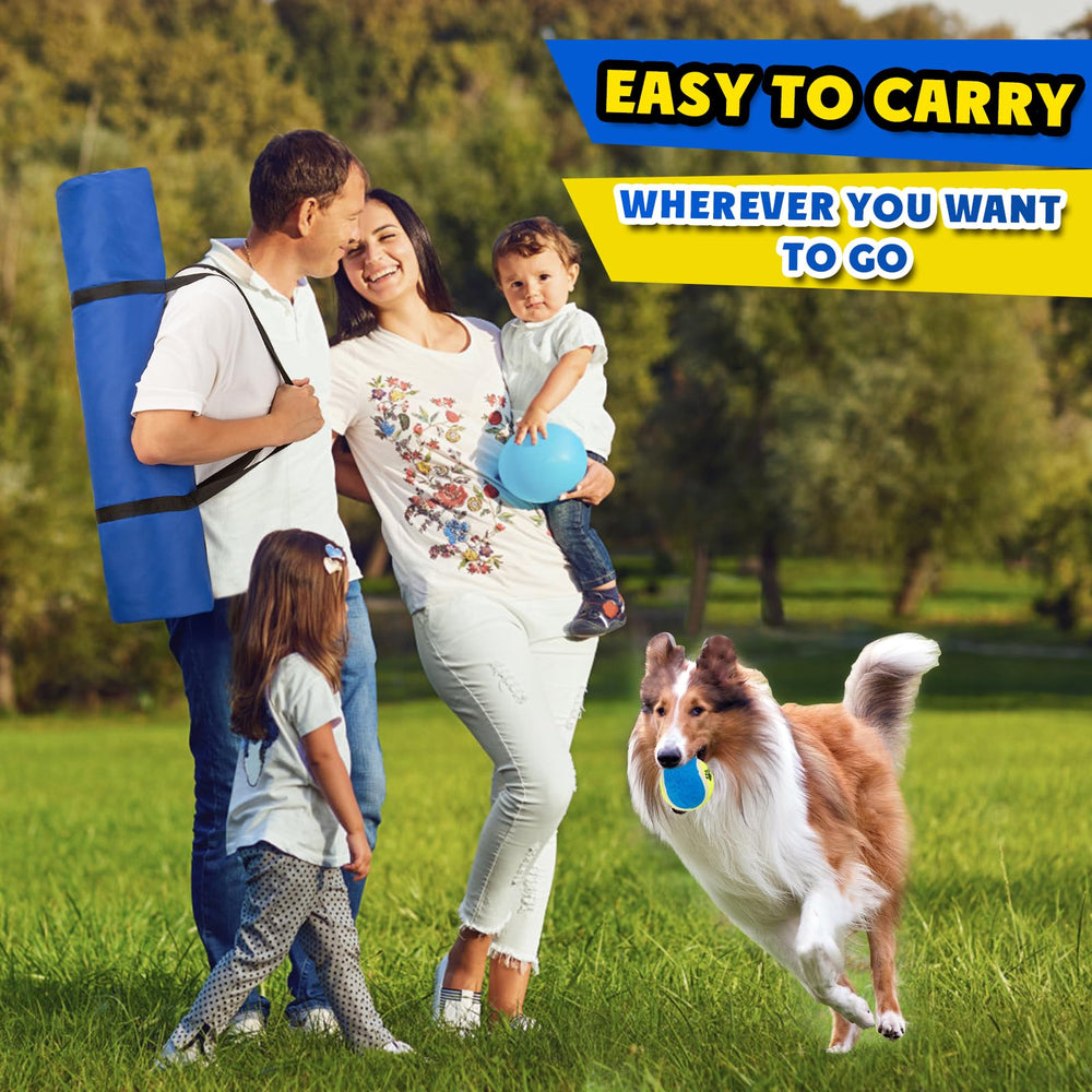 JRUICFDY toy balls add interactive rewards during obedience drills.