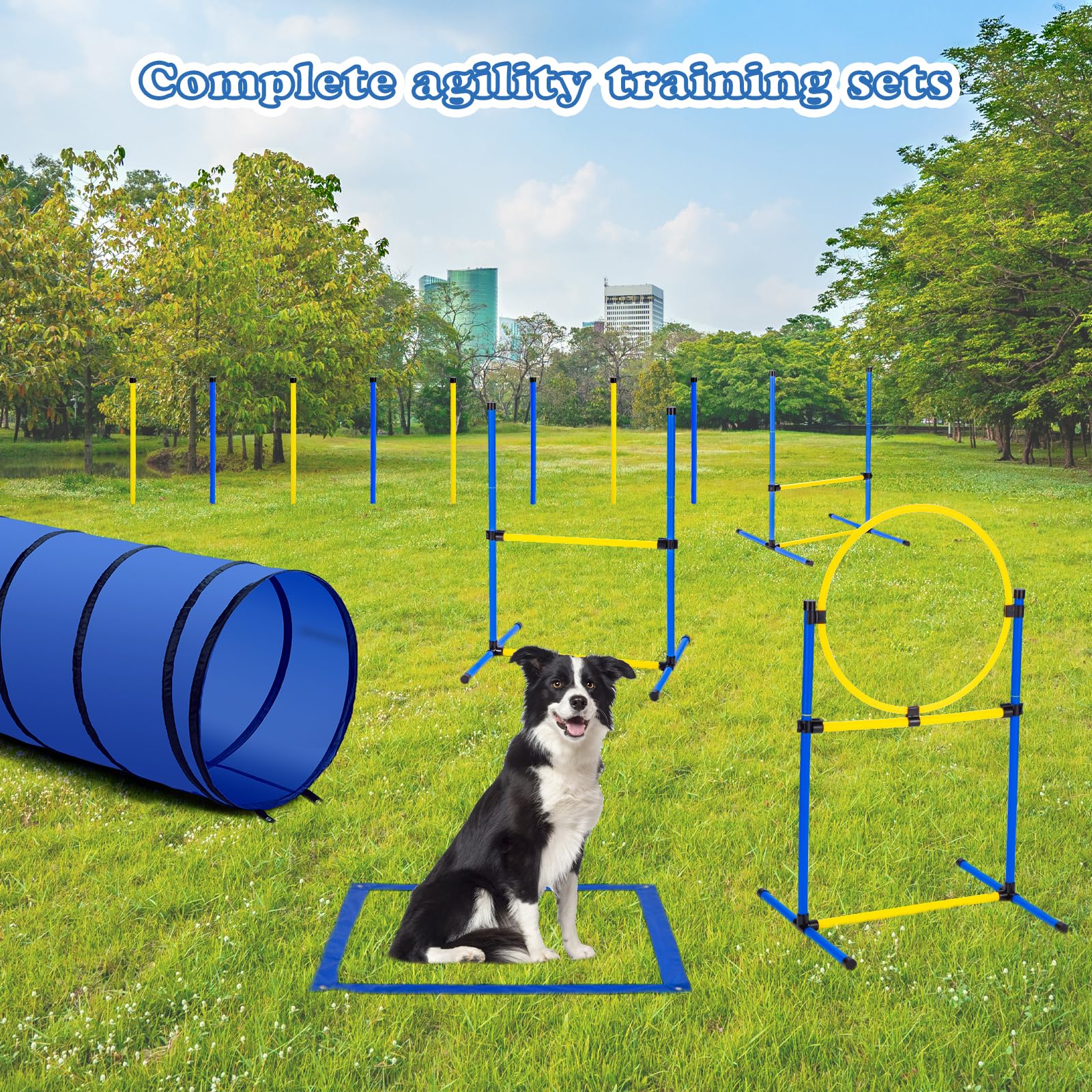 JRUICFDY ground nails secure poles for stable training sessions.