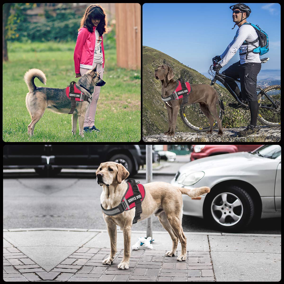 JSXD dog harness breathable material keeps dogs cool on walks.